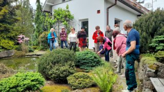 Okrasné zahradnictví a miniarboretum M. Skalský / 28