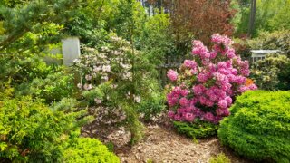 Okrasné zahradnictví a miniarboretum M. Skalský / 41