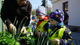 Mezigenerační zahradničení / 8