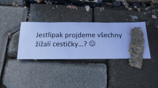 Mezigenerační zahradničení / 3