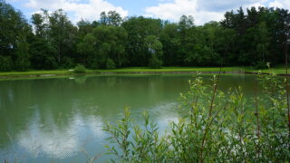 K letkovské studánce / 2