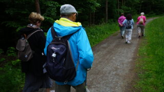 K letkovské studánce / 4