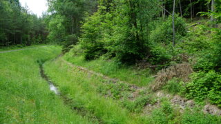K letkovské studánce / 5