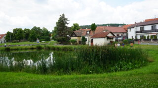 Mezigenerační setkání s družiňáčky / 12