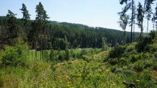 TOTEMový tip na výlet / 13