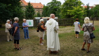 Do klášterní zahrady dominikánů / 4