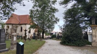 Po Slovanech a do Galerie / 4