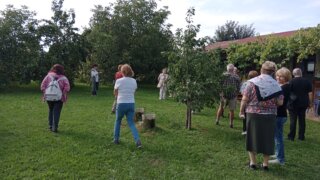 Nejen za uměním do České Břízy / 1