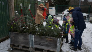 Zdobení stromečku na TOTEMové zahrádce / 13