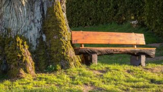 V TOTEMu probíhaly (do)zápisy... Máme pro vás volné místo? V TOTEMu probíhaly (do)zápisy... Máme pro vás volné místo? / TOTEM Místo setkávání se