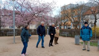 Pétanque v Habrmannově parku / 10