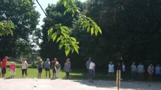 Jihočeský pétanque pohár v Českých Budějovicích / 0