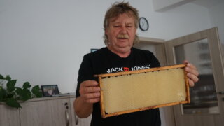 O včelách / 7