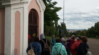 Ke Košuteckému jezírku / 10