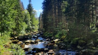 Údolím říčky Vydry / 15