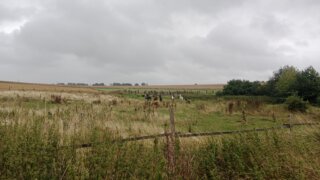 Na Hujáb / 14