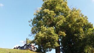 Výlet na Kozel / 21