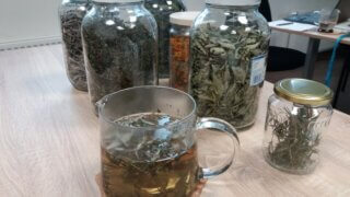 Bylinkové odpoledne