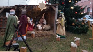Z Litic na Bory / 0