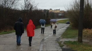 Z Litic na Bory / 4
