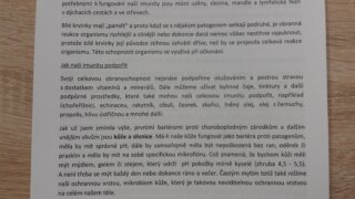 Bylinkové dopoledne / 0