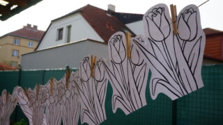 Mezigenerační setkání s Kytičkou / 4