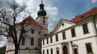 K letohrádku Hvězda / 33
