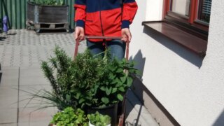 Burza zahradních rostlin / 2