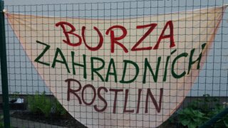 Burza zahradních rostlin / 0