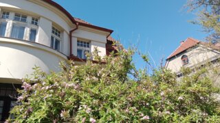 Malebnou Bezovkou / 4