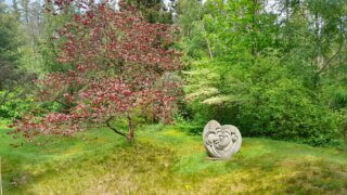 Arboretum Sofronka / 11