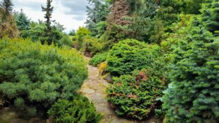 Okrasné zahradnictví a miniarboretum v Újezdu nade Mží / 4