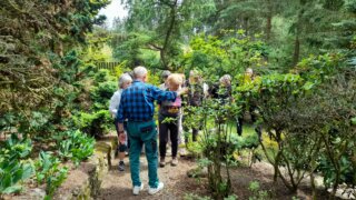 Okrasné zahradnictví a miniarboretum v Újezdu nade Mží / 7