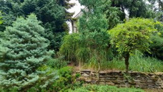 Okrasné zahradnictví a miniarboretum v Újezdu nade Mží / 8