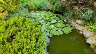 Okrasné zahradnictví a miniarboretum v Újezdu nade Mží / 15