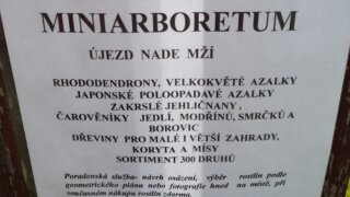 Okrasné zahradnictví a miniarboretum v Újezdu nade Mží / 16