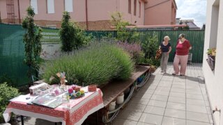 Víkend otevřených zahrad / 38