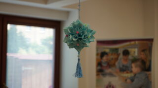 Květy kusudama / 0