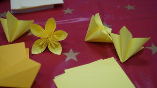 Květy kusudama / 7
