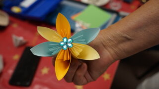Květy kusudama / 9