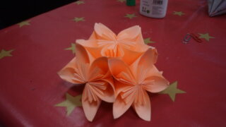 Květy kusudama / 15