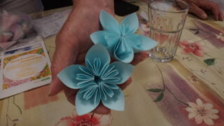 Květy kusudama / 17