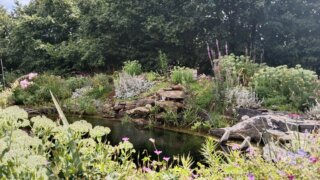 Z Lužan k Zelenému domu