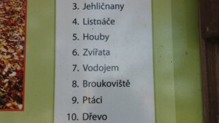 Zelené pírko – DEN TŘETÍ / 4