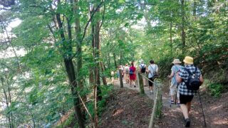 Do Svojšína / 1