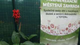 Zahradnický klub v říjnu / 3