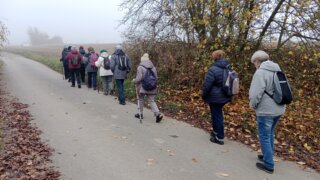 Z Ledců na Košutku / 0
