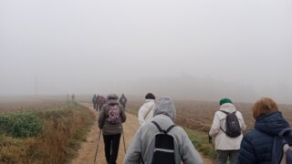 Z Ledců na Košutku / 1