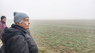 Z Ledců na Košutku / 8