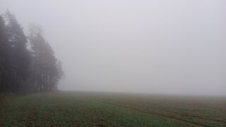 Z Ledců na Košutku / 10